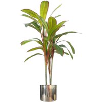 Artificial Potted Dracaena Tropical Plant with Silver Metal Plater - Dracaena Large Leaf Silver
