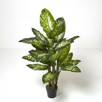 Homescapes Dieffenbachia Dumb Cane Plant in Pot, 150 cm Tall - Green