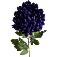Single Extra Large Reflex Chrysanthemum - Purple Chrysanthemum