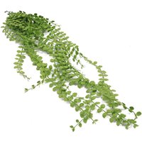 Artificial Hanging Plants Multipacks Fire Resistant UV Resistant - 6 x 92cm Pearl String / 5cm / 92cm