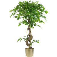 Twisted Trunk Artificial Japanese Fruticosa Style Ficus Tree Gold Pot - Green