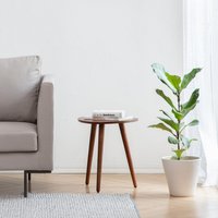 Tora Side Table - Walnut