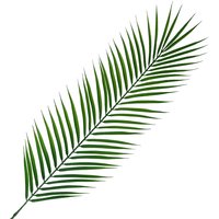 Realistic Artificial Palm Leaf - Palm Leaf
