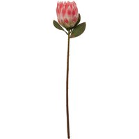 Fiori Pink Protea Flower Stem - Pink