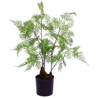 Realistic Artificial Natural Moss Base Fern Foliage Plant - Woodland Fern