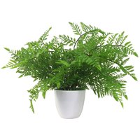 Artificial Potted Fern White Pot - Woodland Fern