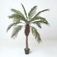 Homescapes Phoenix Palm Tree in Pot, 160 cm Tall - Green