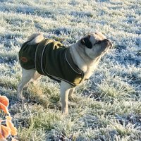 HugglePets Legacy Wax Dog Coat - Medium - Wax / 40cm