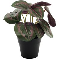 Artificial Potted Plant - Dark Calathea / Dark Calathea