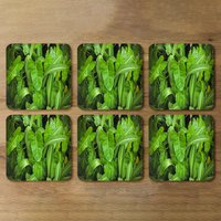 Abstract background of dark green leaves Designer Coaster Set - Green