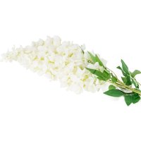 Wisteria Blossom - Cream