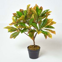 Homescapes Green Rushfoil Artificial Croton Plant with Pot, 65 cm - Green