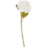 Hydrangea Stem - Neutral