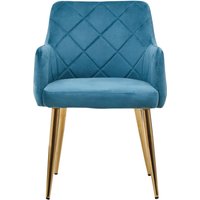 Tamzin Light Blue Velvet Quilted Dining Chair with Gold Finish Legs - Blue