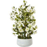 Large Artificial Hellebore in Ceramic Pot - White