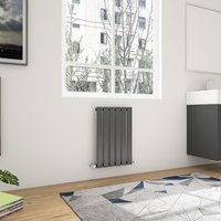 Horizontal Flat Panel Radiator Central Heating Rad 600mm Single Anthracite - Anthracite / 40.8cm