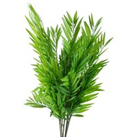 Pack of 6 x Bamboo Fern Stem - Bamboo Fern