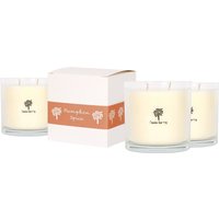 Soy Wax Scented Candles - 400g - Pack of 3 - Pumpkin Spice