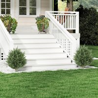 HOMCOM 60 cm Artificial Cypress Tree with Ground Stake, Set of 2 - Green