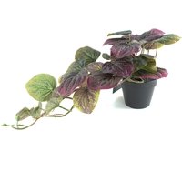 Artificial Trailing Purple Potted Pothos Plant - Purple