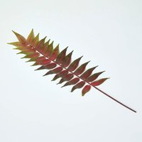 Fern Leaf Foliage 72 cm - Green