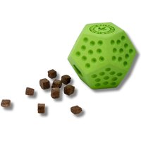 Dodecaball Teat Dispensing Dog Toy - Green