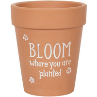 Bloom Where You Are Planted Terracotta Plant Pot with Floral Details - Brown