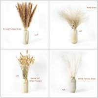 17" Pampas Grass Home Decor - 100pc - Brown