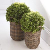 Artificial Boxwood Ball Topiary Plant in Pot - Green / 30cm