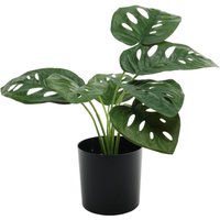 Monstera Potted House Plant - Green
