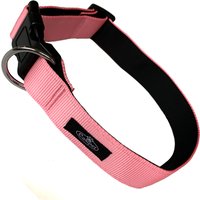 Small Dog Collar in Multi-Colours - Pink