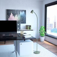 Eglo Carlo Modern Steel Flexible Floor Lamp, Green - Green