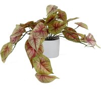 Artificial Pink Caladium Potted Trailing Plant - Green