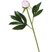 Artificial Single Sarah Bernhardt Peony Bud Flower Stem L45cm - Pink