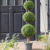Trio Topiary Tree - Green,Black