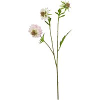 The Natural Garden Collection Scabious - Artificial Flower (Single Stem) - Plastic - L17 x W21 x H65 cm - Pale Pink