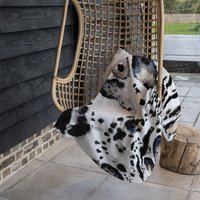 Leopard Print With Blue Blanket - Brown