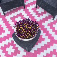 Valiant, Valiant Geometric Outdoor Patio and Decking Rug - Pink - Geometric Pink / 170cm Valiant, Valiant Geometric Outdoor Patio and Decking Rug - Pink - Geometric Pink / 170cm
