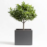 Zinc Galvanised Matte Grey Square Planter - Grey / 60cm