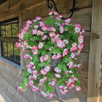 Morning Glory Trailing Flowers with Rattan Wicker Hanging Baskets - Fuchsia and White