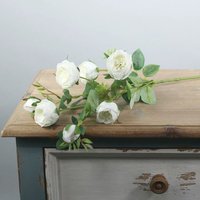 Artificial Peony Rose Spray - Ivory