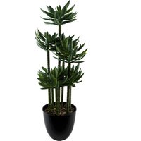 Artificial Tropical Yukka in Planter - Tropical Yukka Planter