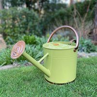 9 Litre Metal Watering Can with Rose - Sage