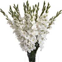 Gladioli Stems Height and Charm in Artificial Blooms - White
