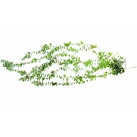 Leaf Artificial Trailing Green Eucalyptus Plant Realistic - Green