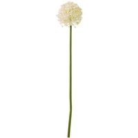 Set of 3 Allium Artificial Stems - Cream
