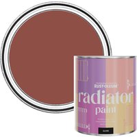 Rust-Oleum Radiator Paint in Gloss Finish - Fire Brick 750ml - Fire Brick