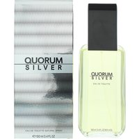 Puig Quorum Silver Eau de Toilette 100ml - Grey