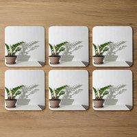Zamioculcas Coaster Set - Green
