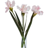 Wyld Haus Pale Pink Fringed Iris Stems - Set of 3 - Pink